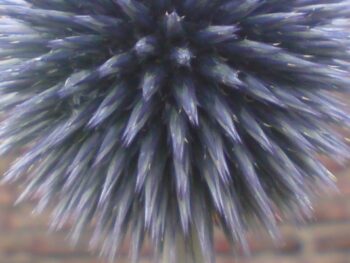 Permalink zu: Digitale Souveränität